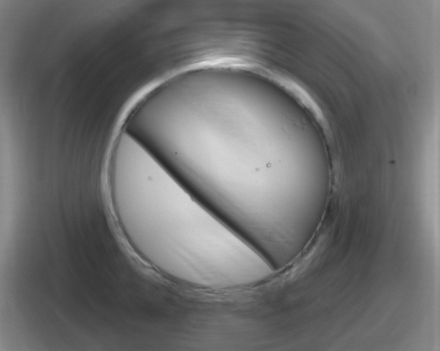 X0000112070952201007221004