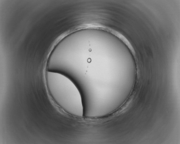 X0000112070954201007221004
