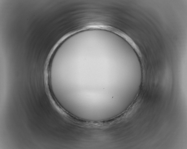 X0000112070955201007221004