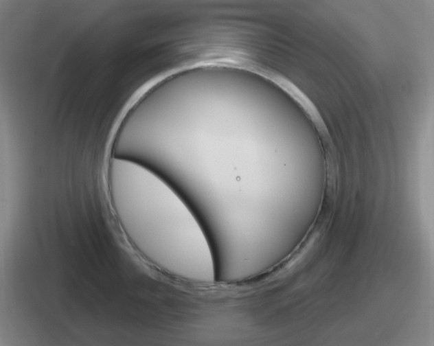 X0000112070956201007221004