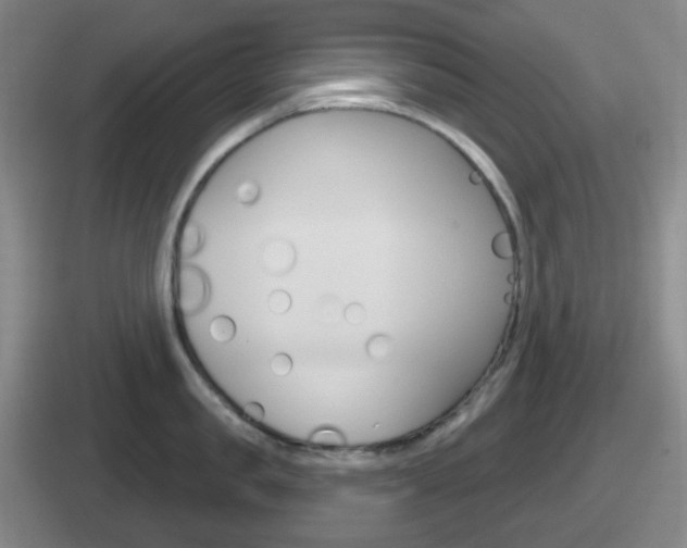 X0000112070957201007221004