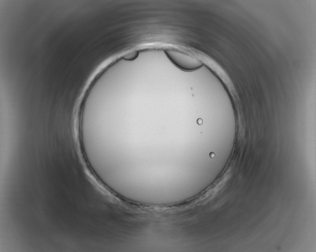 X0000112070958201007221004