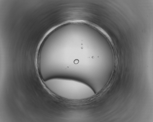 X0000112070959201007221004