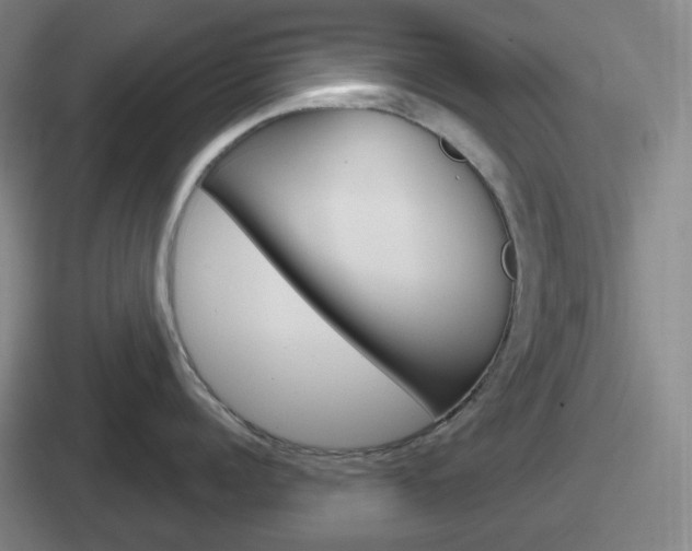 X0000112070960201007221004