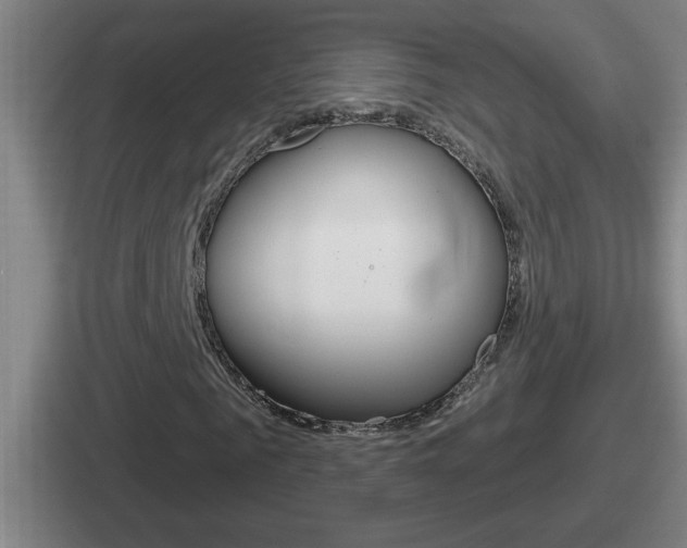 X0000112070961201007221003