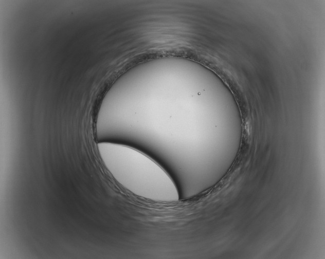 X0000112070963201007221003