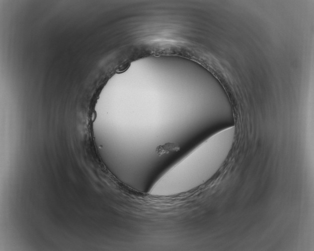 X0000112070964201007221003