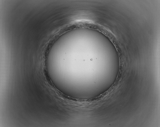 X0000112070965201007221003