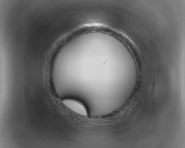 X0000112070967201007221003