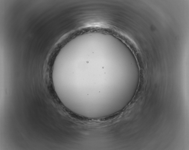 X0000112070968201007221003
