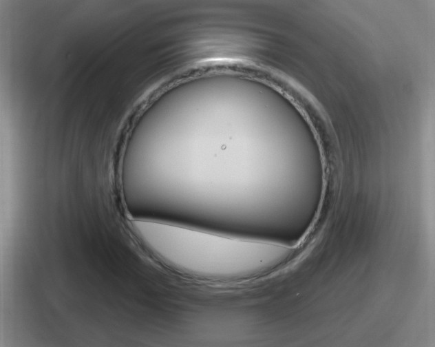 X0000112070969201007221003
