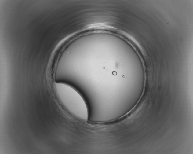 X0000112070971201007221003