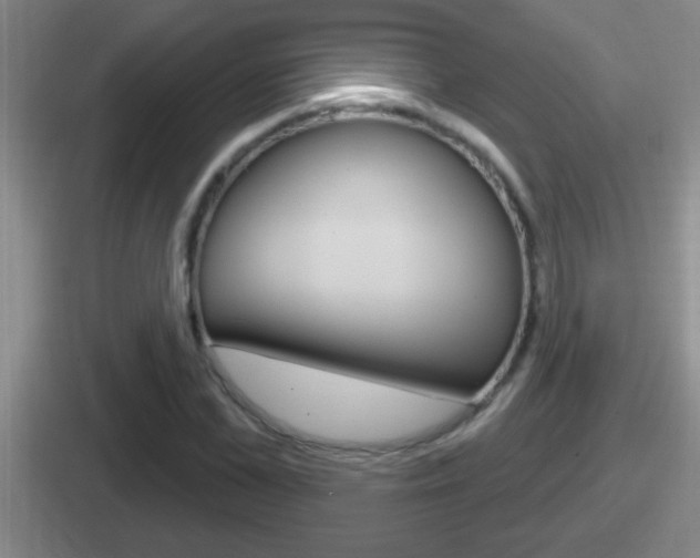 X0000112070973201007221003