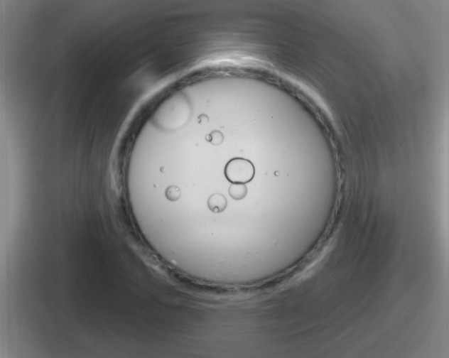 X0000112070974201007221003