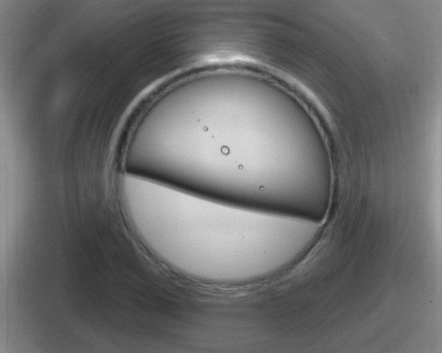 X0000112070975201007221003