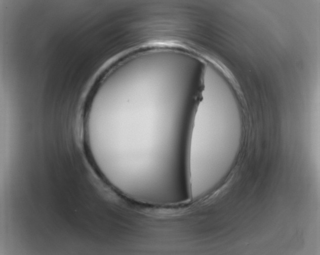 X0000112070984201007221003