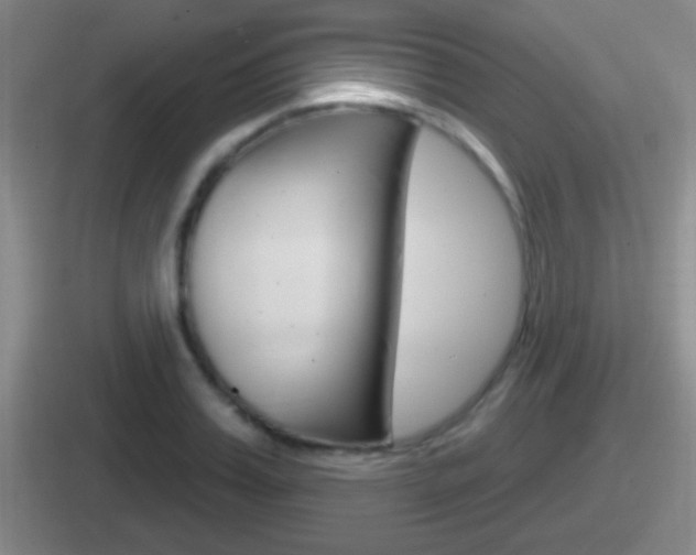 X0000112070987201007221003