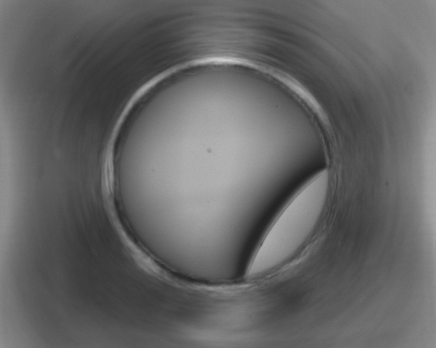 X0000112070988201007221003