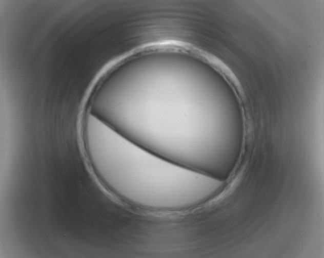 X0000112070989201007221003