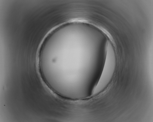 X0000112070992201007221003