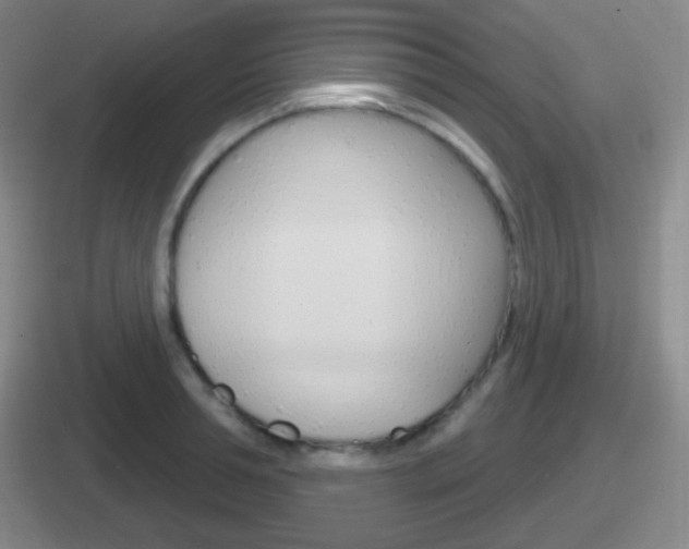 X0000112070994201007221003
