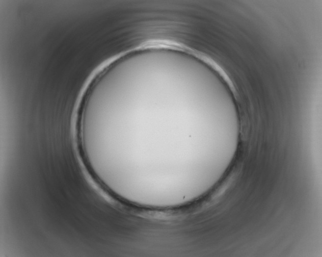 X0000112070995201007221003