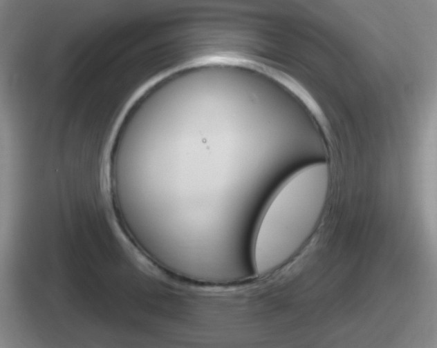 X0000112070996201007221003
