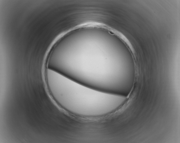 X0000112070997201007221003