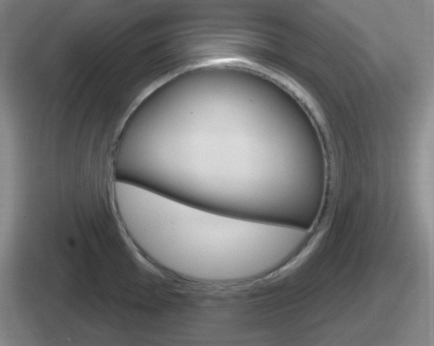 X0000112071001201007221003