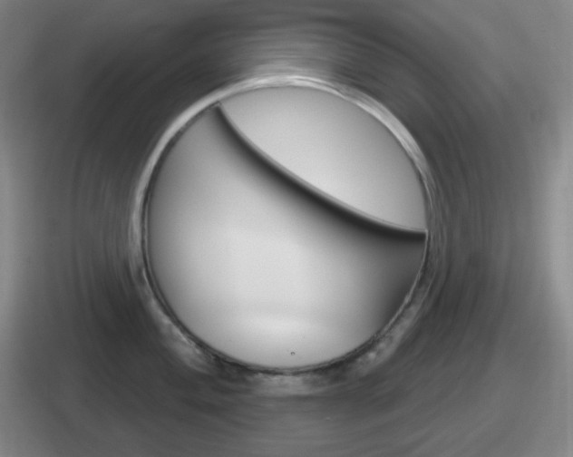X0000112071004201007221003
