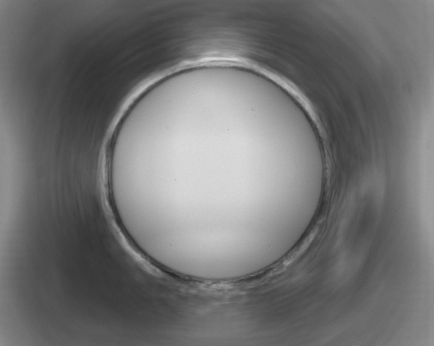 X0000112071006201007221003