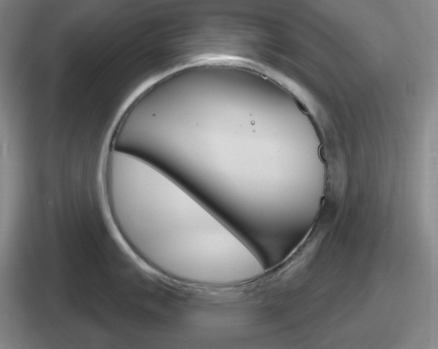 X0000112071007201007221003