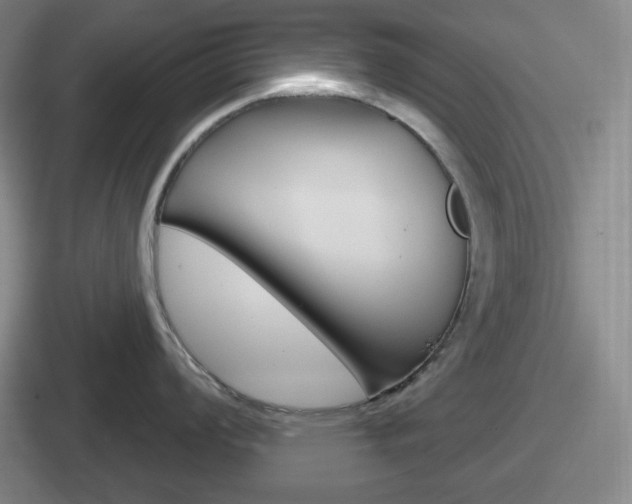 X0000112071008201007221003