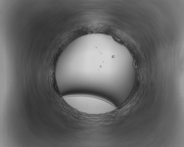 X0000112071010201007221002