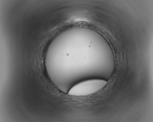 X0000112071013201007221002