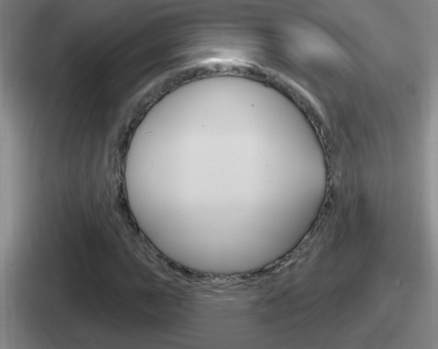 X0000112071015201007221002