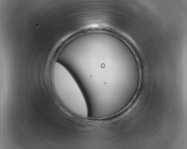 X0000112071018201007221002