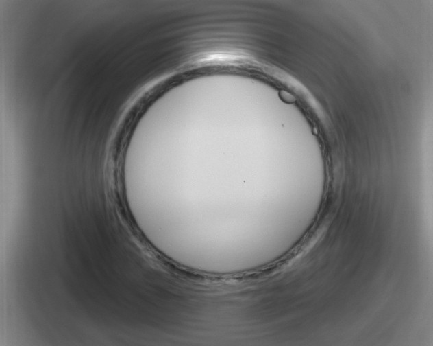 X0000112071019201007221002