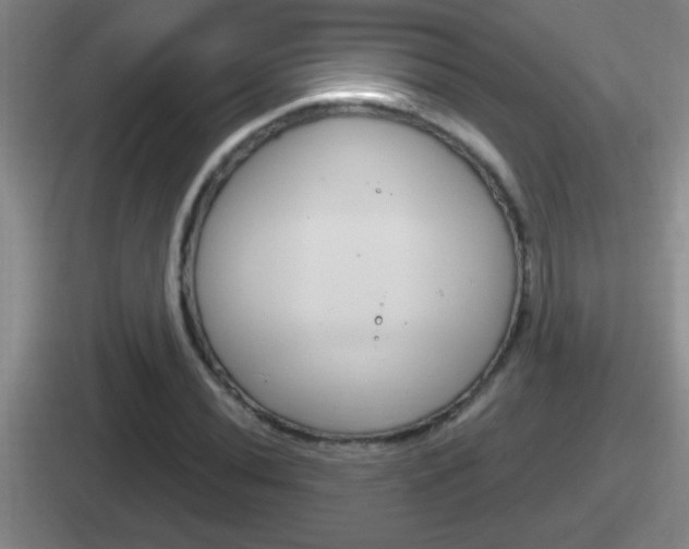 X0000112071020201007221002