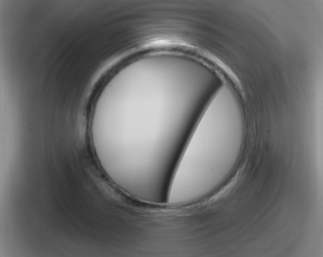 X0000112071021201007221002
