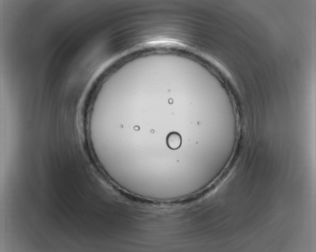 X0000112071022201007221002