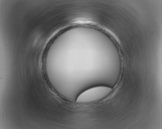 X0000112071023201007221002