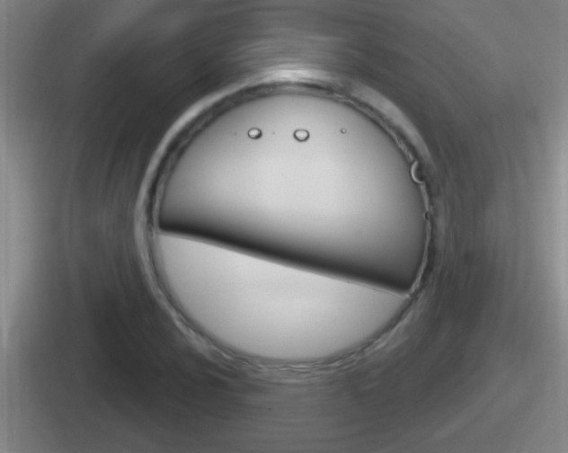 X0000112071024201007221002
