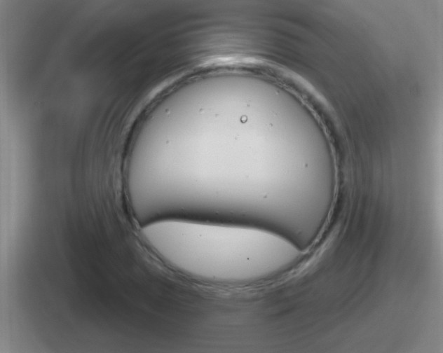 X0000112071025201007221002