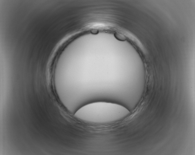 X0000112071027201007221002