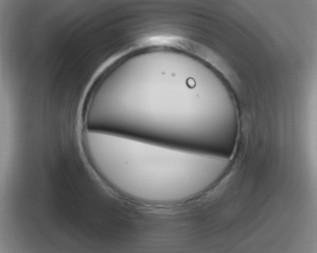 X0000112071028201007221002