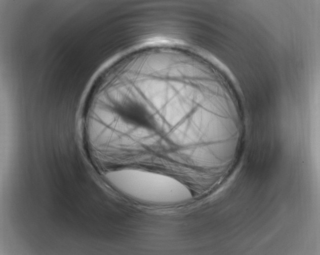 X0000112071029201007221002