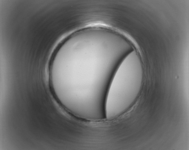 X0000112071032201007221003