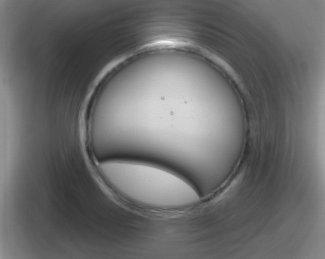 X0000112071034201007221003