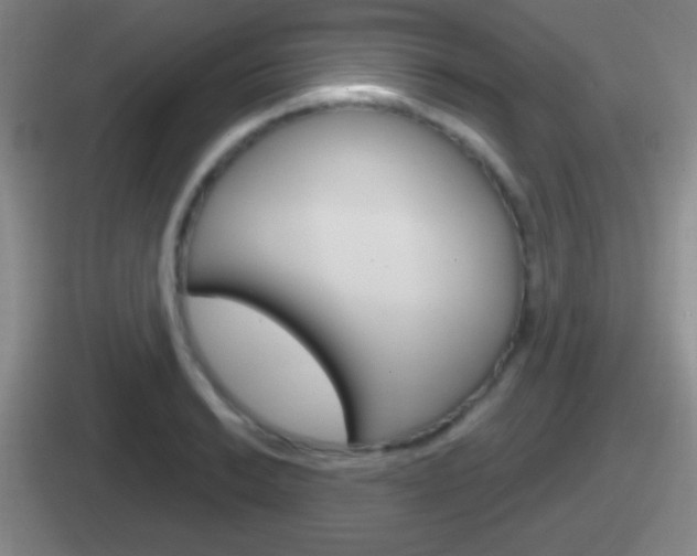 X0000112071038201007221003